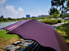 -白塘生态植物园