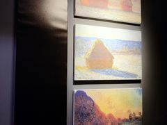 -印象莫奈时光映迹艺术展