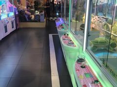 -PAWTOY爪e玩偶店(天兴罗斯福店)