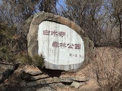 -白水寺森林公园