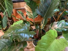 -Rabbit Cafe私房西餐甜点咖啡(栖霞路店)