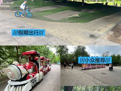 -长白岛森林公园