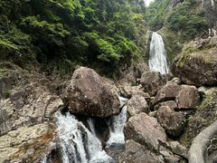 -龙湾潭国家森林公园