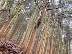 -含鄱口