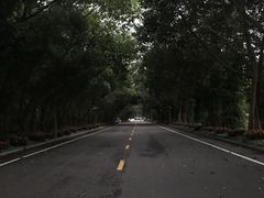 -东南花都花博园