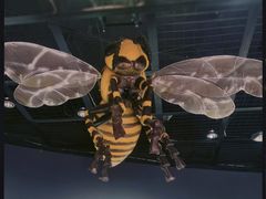 -陕西自然博物馆