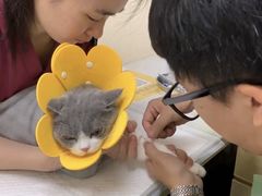 -芭比堂动物医院·24小时·眼科中心(深圳中心)