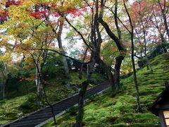 -常寂光寺