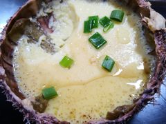 海胆蒸蛋-岛中岛·海鲜大排档·万宁老字号(东澳店)
