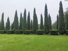 -洛阳市隋唐城遗址植物园