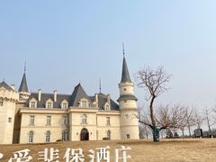 -北京张裕爱斐堡酒庄