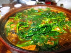 鲶鱼煲-海口滨海新村143号海南老字号炒菜店