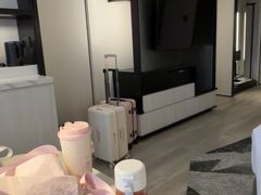 -新加坡乌节希尔顿酒店 (SG Clean)