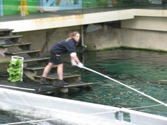 -悉尼海洋生物水族馆