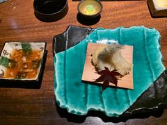 鲨鱼翅天妇罗-桐寿司Sushi Tong