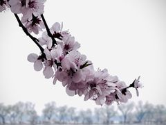 -颐和园