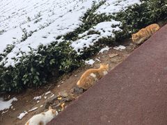 -敬亭山风景名胜区