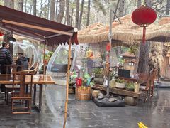 -小小饭店·休闲农庄·安吉松树林里的农家菜