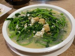 -珠海叠泉山庄