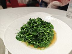 -绿雅酒家(江西中路店)