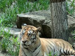 -北京野生动物园