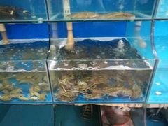 -东极岛海鲜