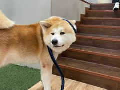 -YCHL Studios健身工作室(市二宫店)