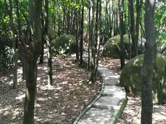 -火炉山森林公园