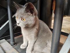 -IN COFFEE LAB 隐咖啡