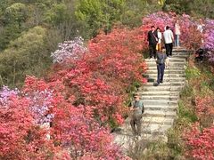 -岳西天峡风景区