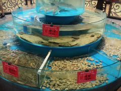 -咱家大院海鲜家常菜