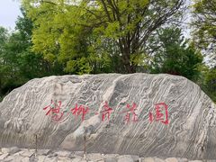 -杨柳青庄园