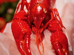 -沪小胖·小龙虾·蓝龙王(八佰伴店)