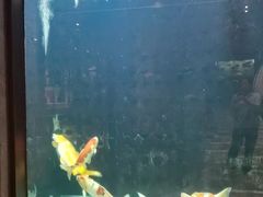 -弘安丽水温泉酒店