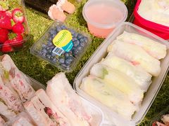-墨尔本皇家植物园