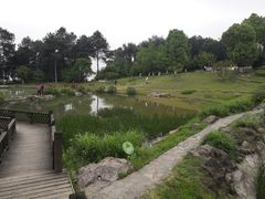 -铁山坪森林公园