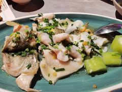 葱油淋鲈鱼-啫神·广州地标美食(北京路店)