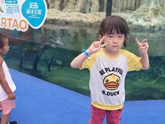 -秦皇岛乐岛海洋王国