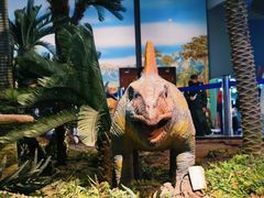 -湖南省地质博物馆