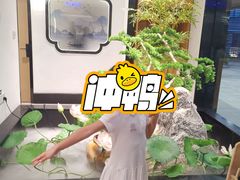 -俏牛哥鲜牛肉牛肆馆(重庆天地店)