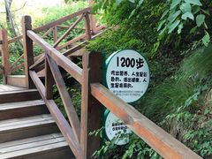 -大岭沟猕猴桃谷风景区