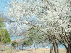 -盘龙城国家考古遗址公园