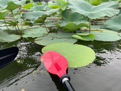 -WhaleSports户外水上运动俱乐部(朝阳公园店)