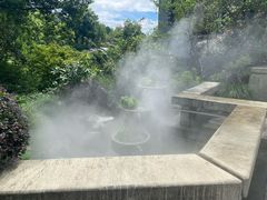 -雷峰塔·藕香居餐厅