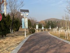 -济南国际园博园