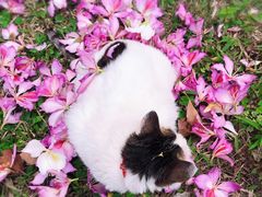 -火炉山森林公园