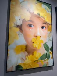 -大树儿童摄影