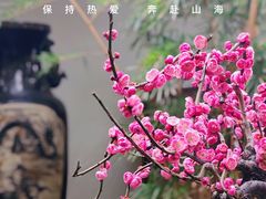-成都杜甫草堂博物馆