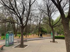 -方庄体育公园