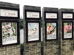 景点-重庆彩云湖湿地公园